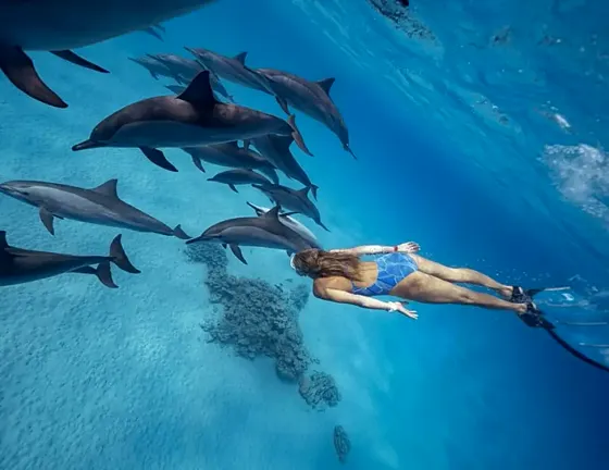 Dolphin House Hurghada + nurkowanie z butlą - zdjęcie 2