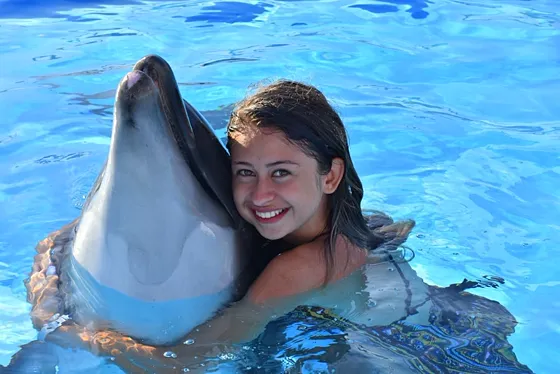 Dolphin Show - Pokaz delfinów w Sharm el Sheikh