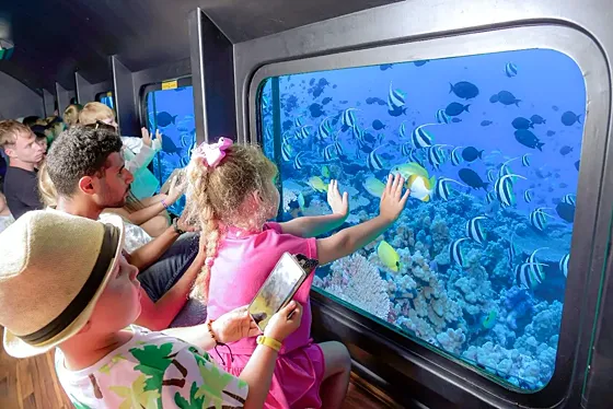 Family Day Hurghada 3 w 1 – Seascope, Dolphin Show i Beduini - zdjęcie 3