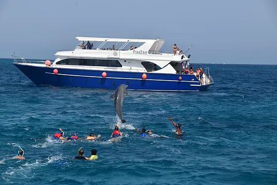 Family Day Hurghada 3 w 1 – Seascope, Dolphin Show i Beduini - zdjęcie 4