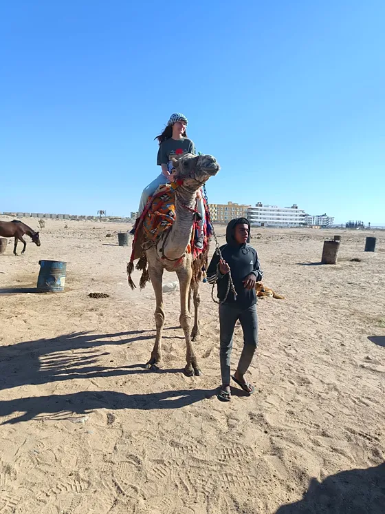 Jazda na wielbłądzie lub konno – Sharm el Sheikh - zdjęcie 4