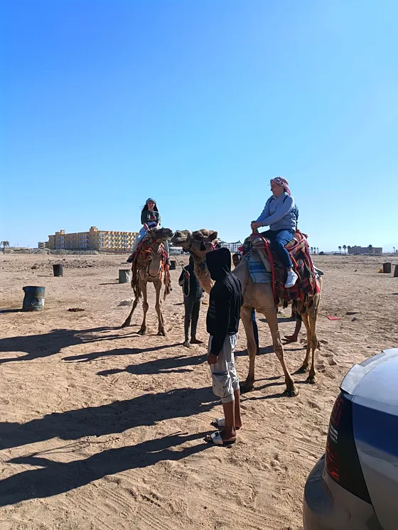 Jazda na wielbłądzie lub konno – Sharm el Sheikh - zdjęcie 5