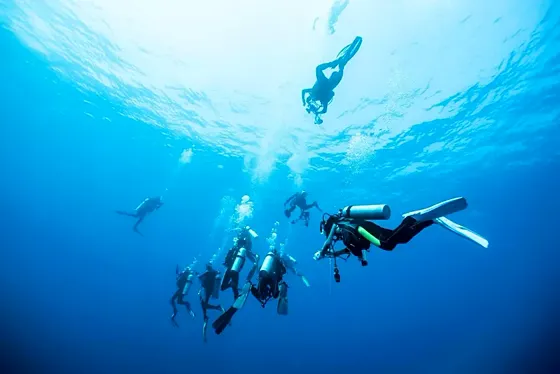 Kurs PADI Advanced Open Water Diver w Marsa Alam – do 30 m - zdjęcie 2