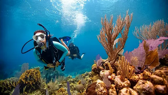 Kurs PADI Advanced Open Water Diver w Marsa Alam – do 30 m - zdjęcie 4