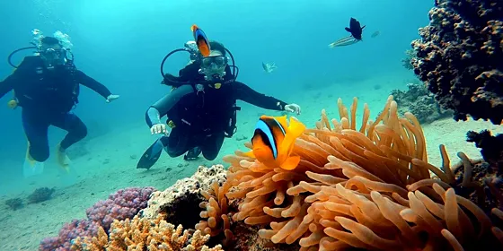 Kurs PADI Advanced Open Water Diver w Marsa Alam – do 30 m - zdjęcie 5