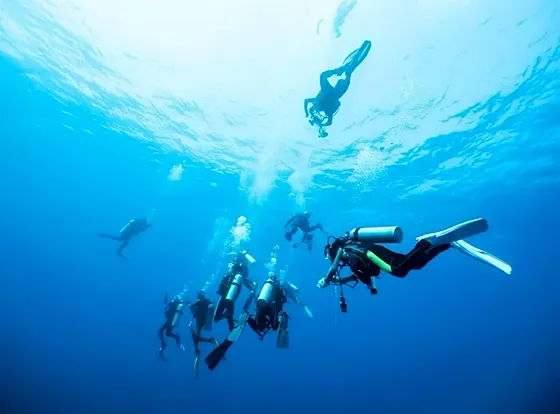 Kurs PADI Open Water Diver w Marsa Alam – certyfikat PADI