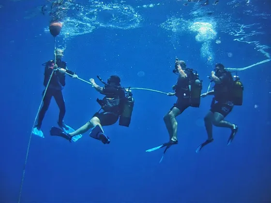 Kurs PADI Open Water Diver w Marsa Alam – certyfikat PADI - zdjęcie 3