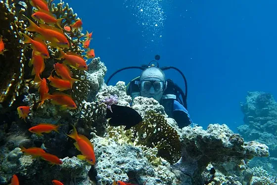 Kurs PADI Open Water Diver w Marsa Alam – certyfikat PADI - zdjęcie 5