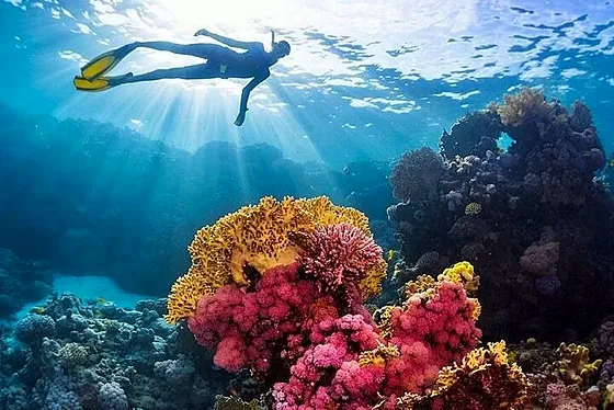 Rejs na White Island + Ras Mohamed - zdjęcie 3