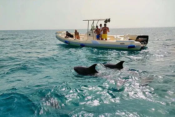 Speed Boat Hurghada – Dolphin House, Orange Bay i Hula Hula - zdjęcie 5