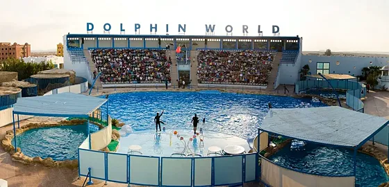 Delfinarium Hurghada – pokaz delfinów z transferem - zdjęcie 3