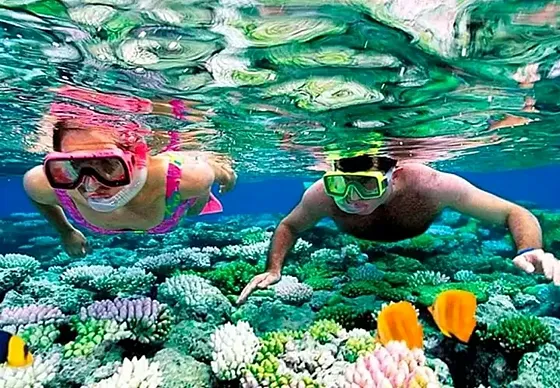 Wycieczka z Hurghady do Abu Dabbab – żółwie i snorkeling