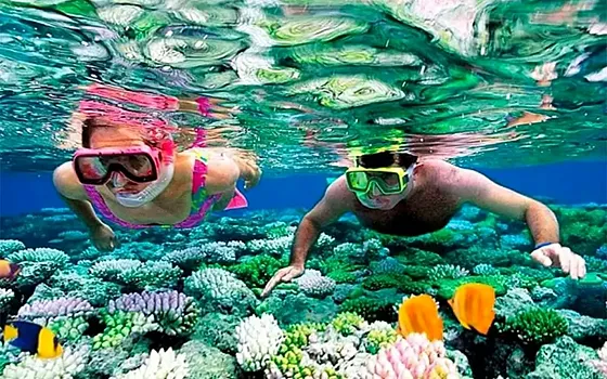 Wycieczka z Hurghady do Abu Dabbab – żółwie i snorkeling - zdjęcie 2