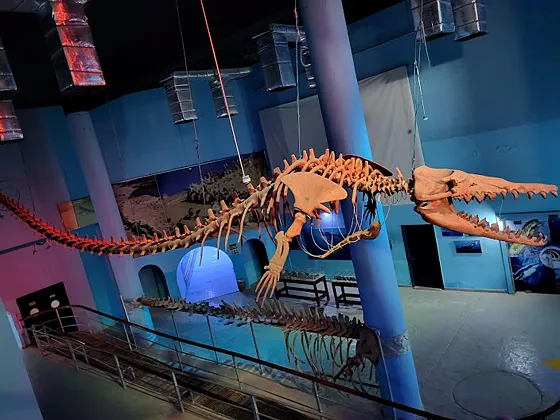 Hurghada Grand Aquarium (Akwarium w Hurghadzie) - zdjęcie 3