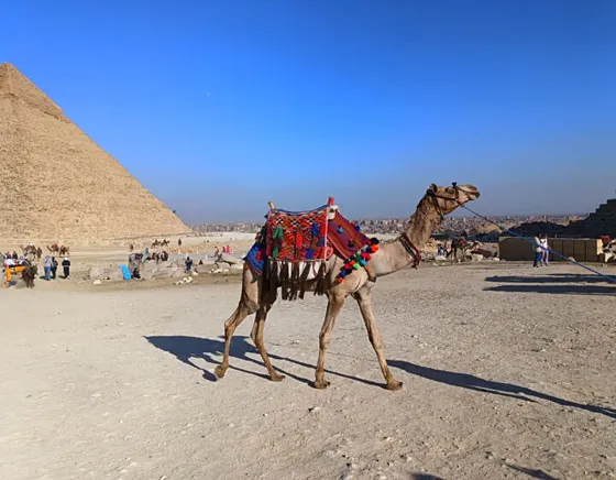 Wycieczka z Marsa Alam do Kairu