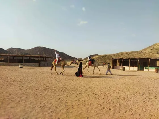 Wycieczka z Marsa Alam - Jeep Safari - zdjęcie 3