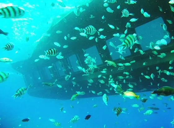 Seascope Marsa Alam – łódź podwodna - zdjęcie 3